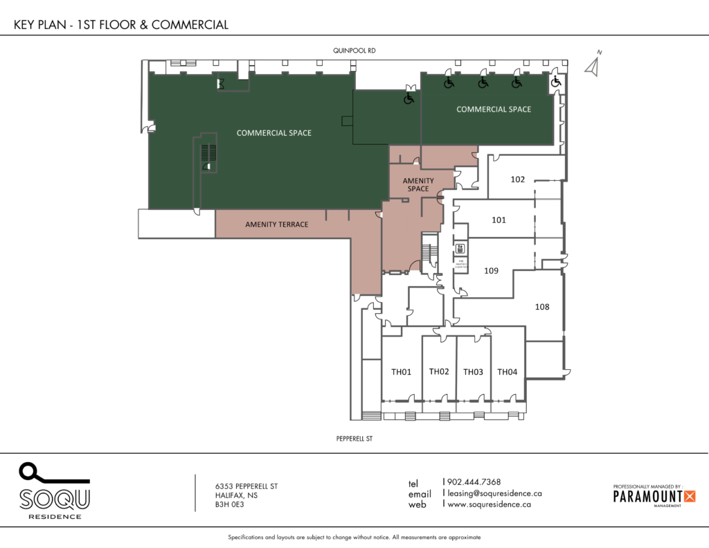 1st floor & Commercial Space
